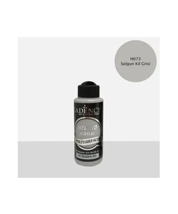 Hibridna boja H - 073