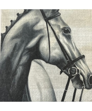 Salveta - 44/25