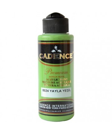 Premium boja Cadence – 120ml – 8024