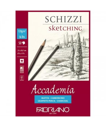 Fabriano Academia Schizzi...