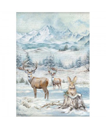 Pirinčani papir A4 - DFSA41055